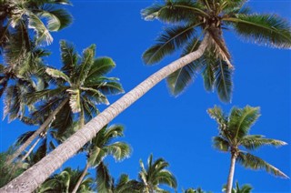 Cook Islands weather forecast