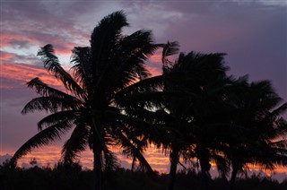 Cook Islands weather forecast