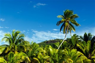 Cook Islands weather forecast