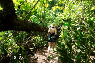 Cook Islands weather forecast