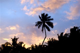 Cook Islands weather forecast