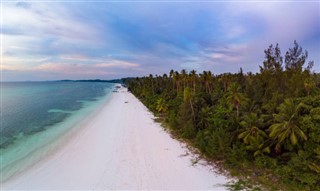 Coral Sea Islands weather forecast