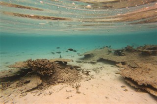 Coral Sea Islands weather forecast