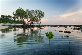 Coral Sea Islands weather forecast