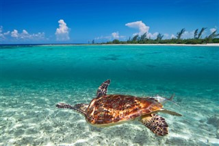 Coral Sea Islands weather forecast