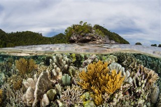 Coral Sea Islands weersvoorspelling