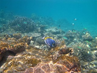 Coral Sea Islands weather forecast