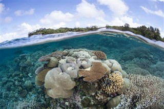 Coral Sea Islands weather forecast