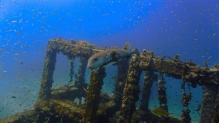 Coral Sea Islands weather forecast