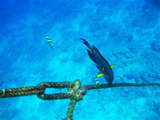 Coral Sea Islands weather forecast