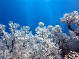 Coral Sea Islands weather forecast