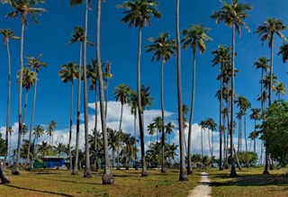 Coral Sea Islands weather forecast