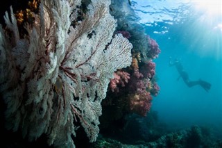 Coral Sea Islands weather forecast