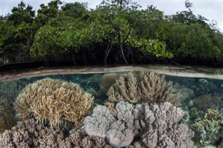 Coral Sea Islands sääennuste