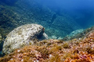 Coral Sea Islands weather forecast