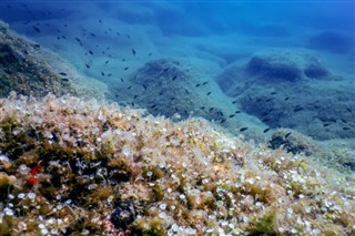 Coral Sea Islands weather forecast