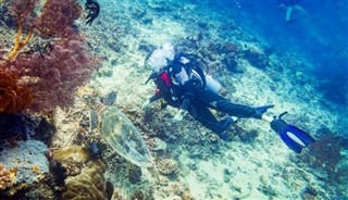 Coral Sea Islands weather forecast