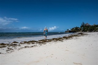 Coral Sea Islands weather forecast