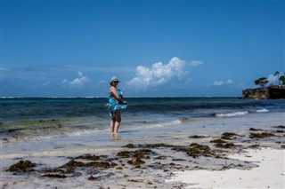 Coral Sea Islands weather forecast