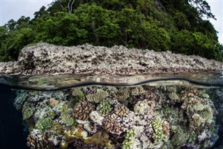 Coral Sea Islands weather forecast