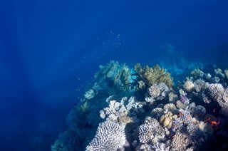 Coral Sea Islands weather forecast