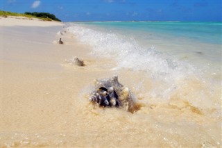 Coral Sea Islands weather forecast