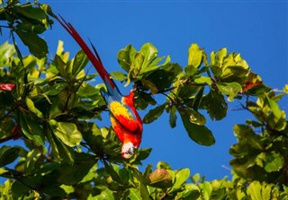 Costa Rica weather forecast