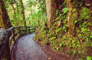 Costa Rica weather forecast