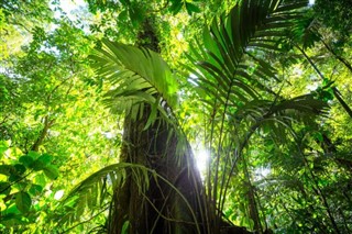 Costa Rica weather forecast