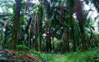 Costa Rica weather forecast