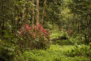 Costa Rica weather forecast