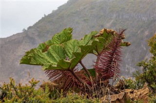 Costa Rica weather forecast