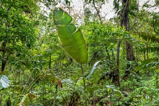 Costa Rica weather forecast