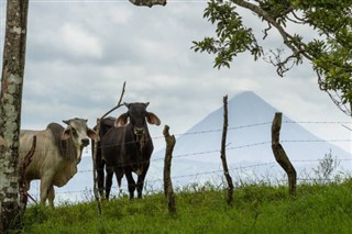 Costa Rica weather forecast