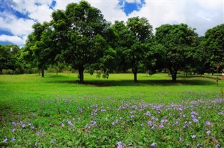 Cuba pronóstico del tiempo