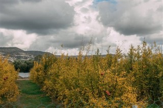 Cyprus weather forecast