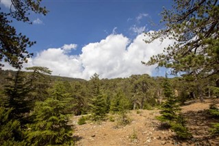 Cyprus weather forecast