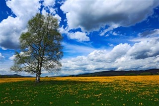 Czech Republic weather forecast