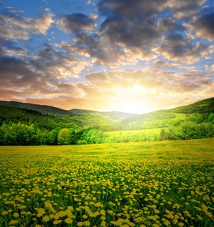 Czech Republic weather forecast