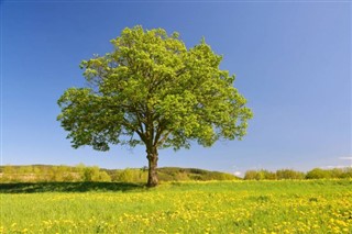 República Checa pronóstico del tiempo