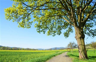 Czech Republic weather forecast