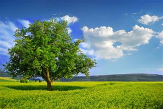 Czech Republic weather forecast