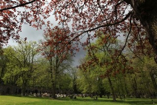 Czech Republic weather forecast