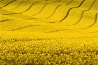 Czech Republic weather forecast