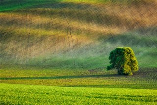 Czech Republic weather forecast