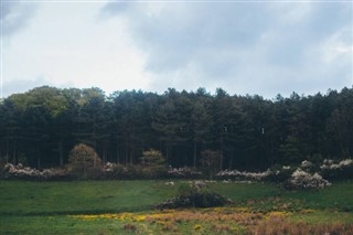 Denmark weather forecast