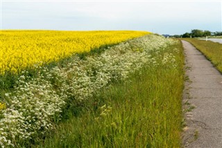 Denmark weather forecast