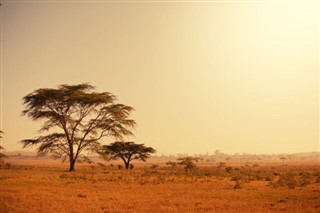 Djibouti weather forecast