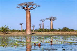 Djibouti weersvoorspelling