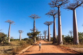 Djibouti weather forecast